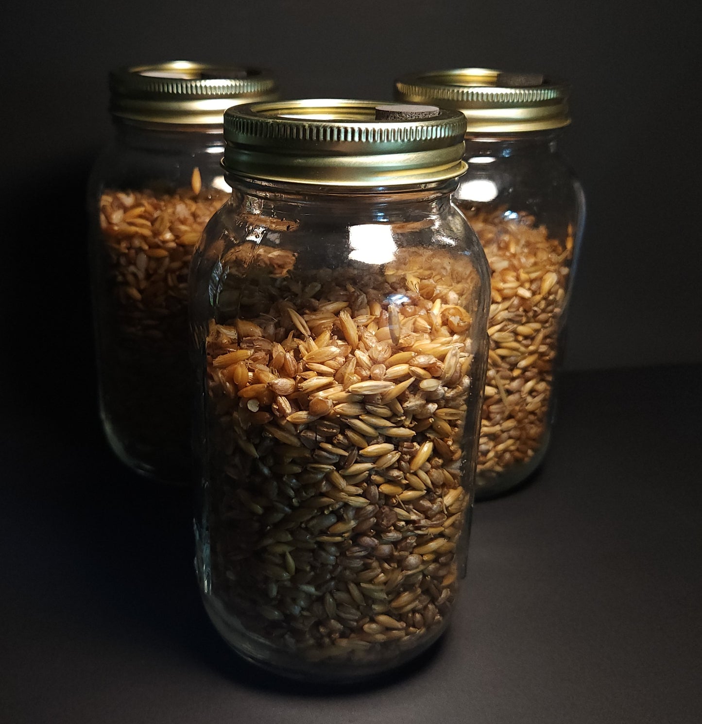 1 Quart Sterile Grain Spawn Jar (3-pack) – Mountain Made & Ready for Inoculation