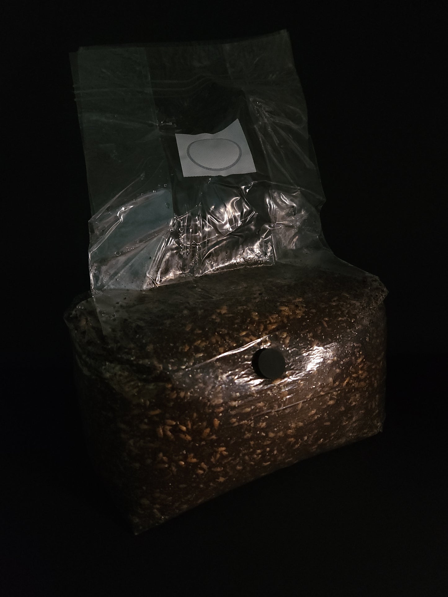 All-in-One Grow Bag (5 lb) – For Dung-Loving Mushrooms