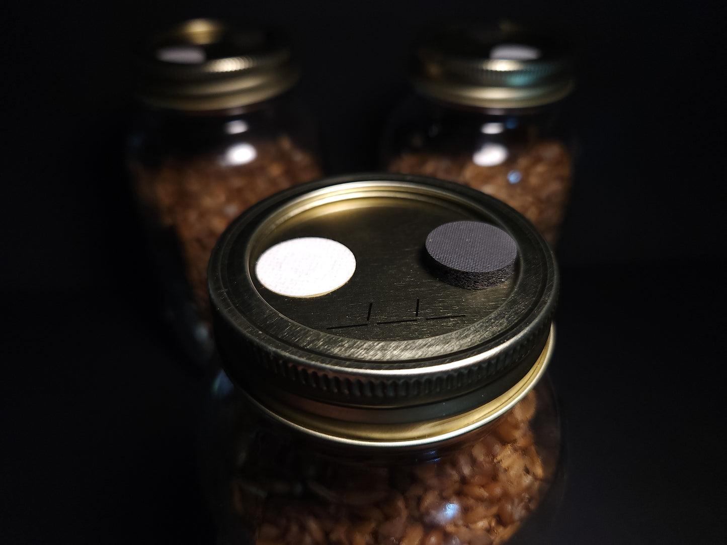 1 Quart Sterile Grain Spawn Jar (3-pack) – Mountain Made & Ready for Inoculation