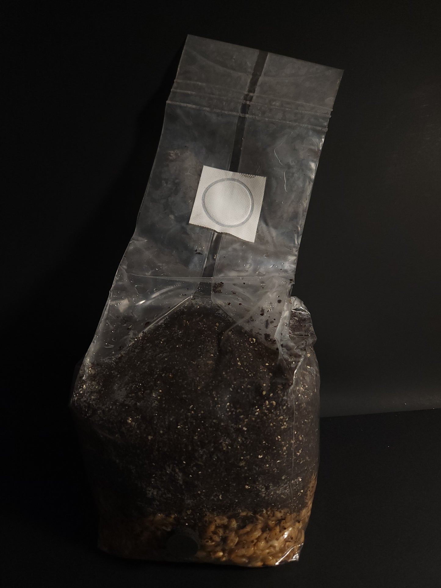 Layered All-in-One Grow Bag (3lb) – For Dung-Loving Mushrooms