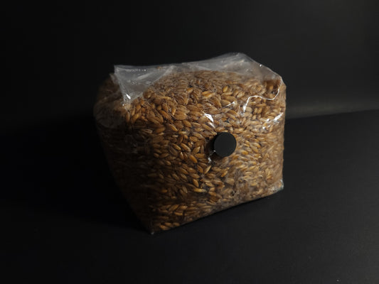 Sterilized 3lb Grain Spawn Bag