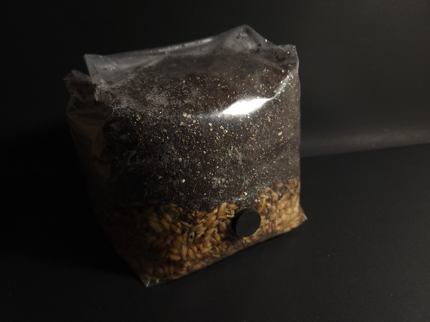 Layered All-in-One Grow Bag (3lb) – For Dung-Loving Mushrooms