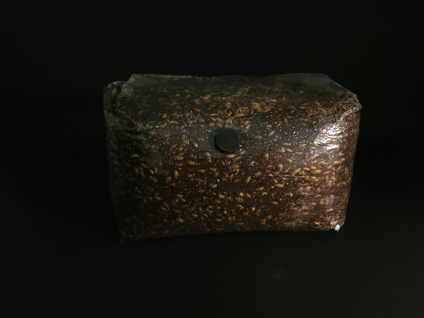 All-in-One Grow Bag (5 lb) – For Dung-Loving Mushrooms