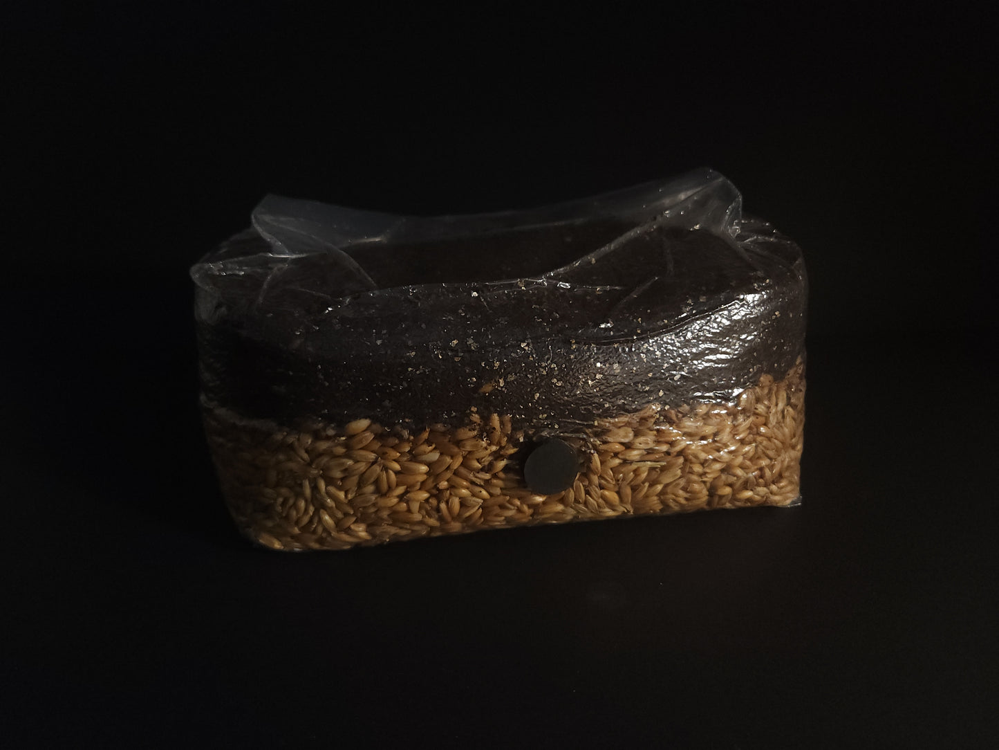 Layered All-in-One Grow Bag (5lb) – For Dung-Loving Mushrooms