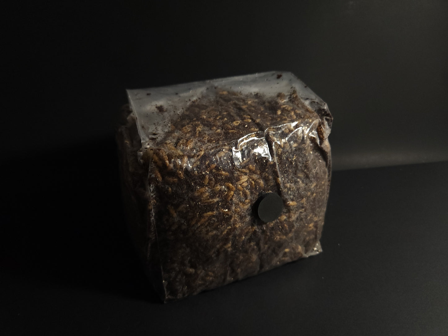 All-in-One Grow Bag (3 lb) – For Dung-Loving Mushrooms