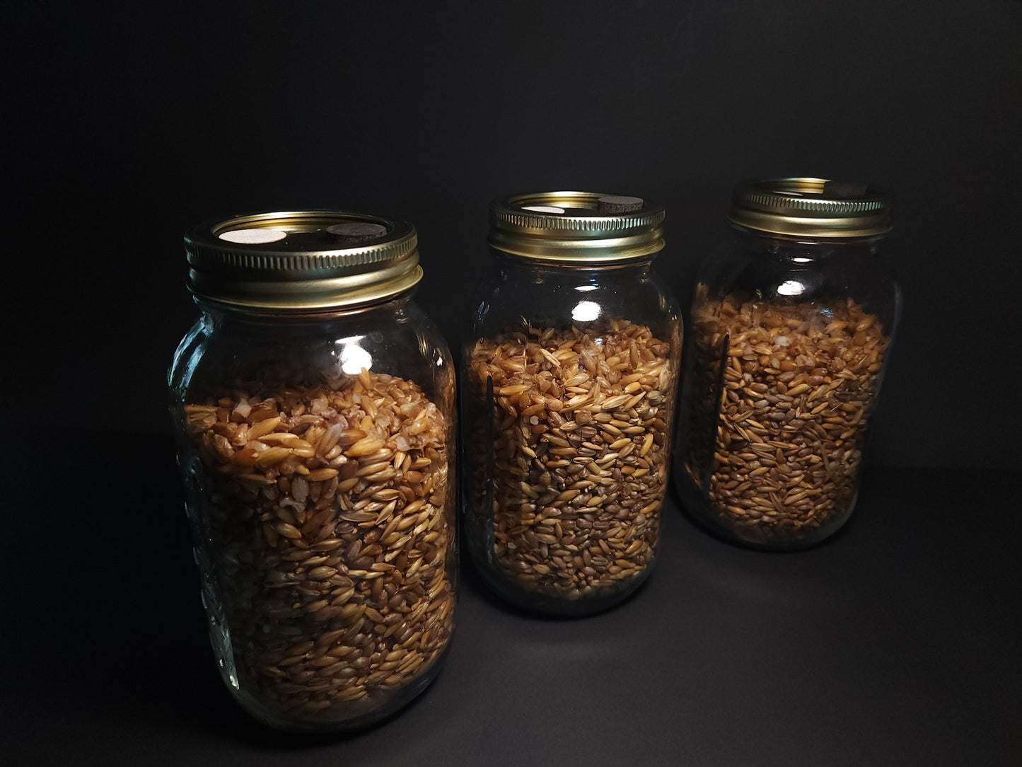 1 Quart Sterile Grain Spawn Jar (3-pack) – Mountain Made & Ready for Inoculation
