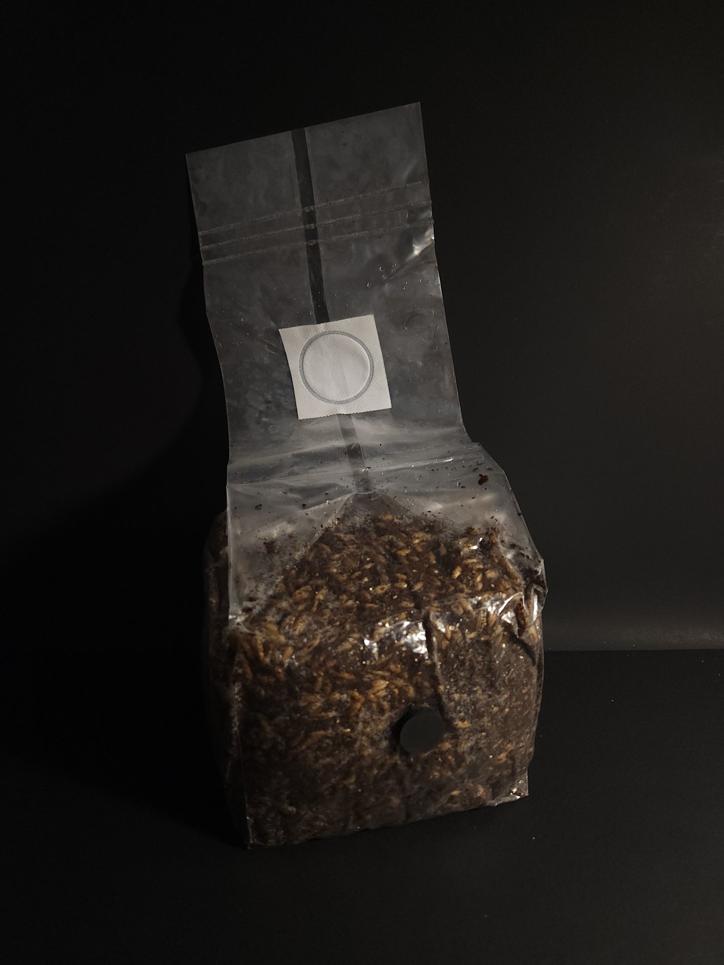 All-in-One Grow Bag (3 lb) – For Dung-Loving Mushrooms