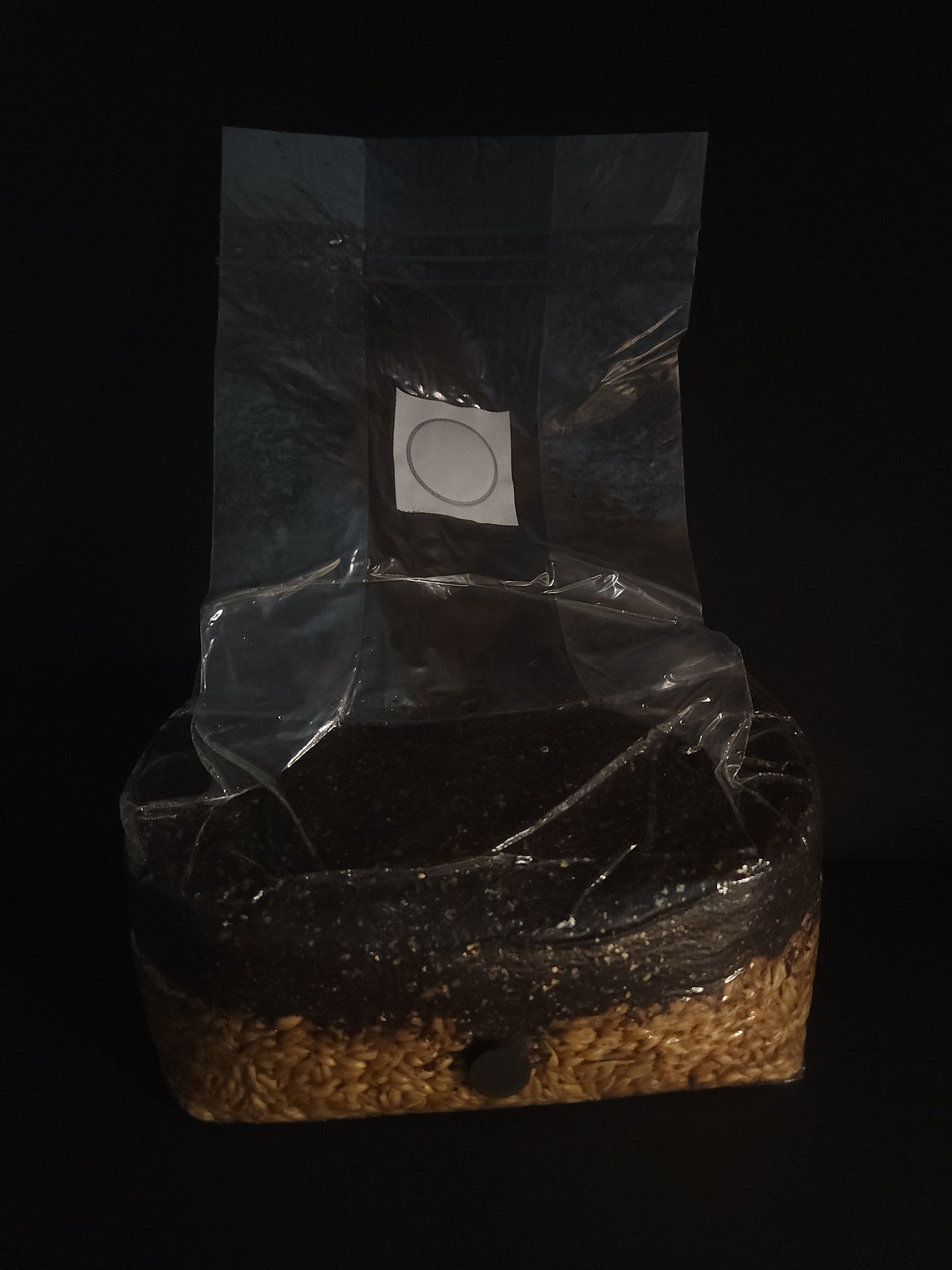 Layered All-in-One Grow Bag (5lb) – For Dung-Loving Mushrooms
