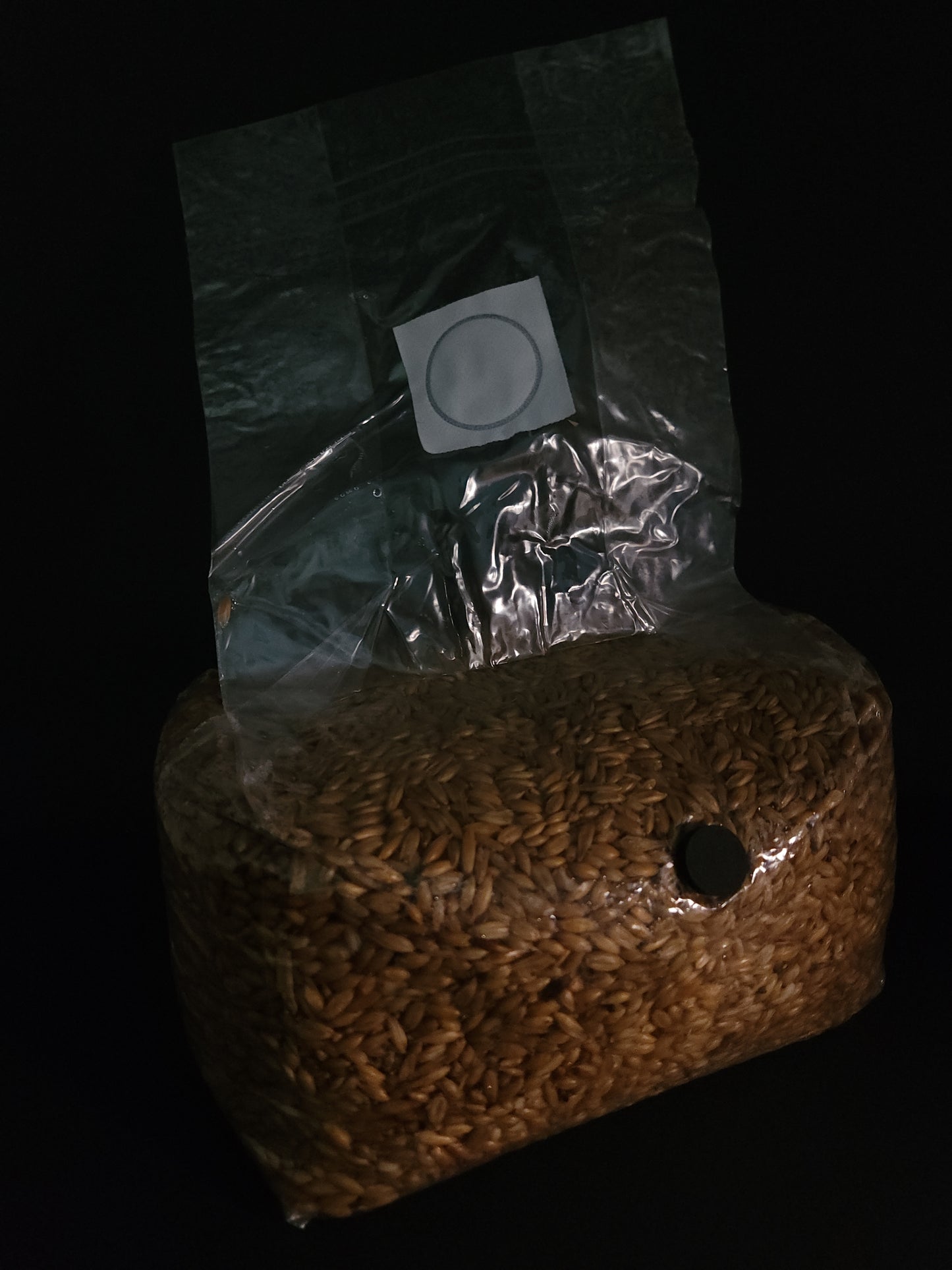 Sterilized 5lb Grain Spawn Bag