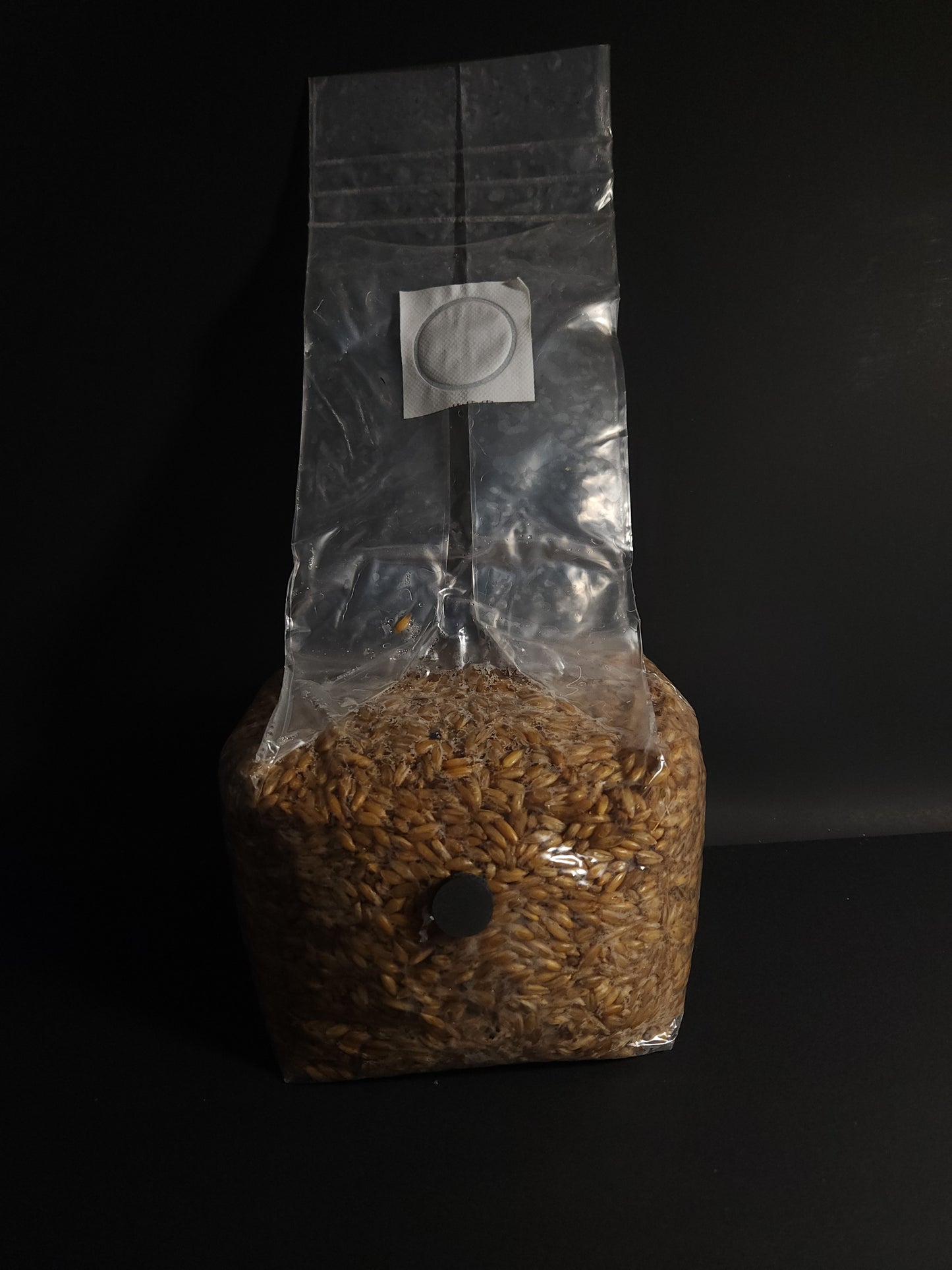 Sterilized 3lb Grain Spawn Bag