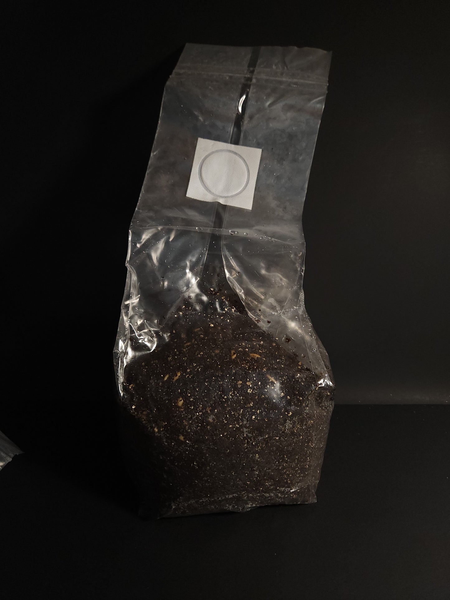 Pasteurized 3lb CVG Substrate Bag